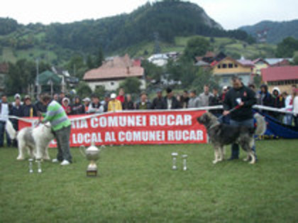 rucar 2009-6 - Standardul oficial al rasei ciobanesc romanesc carpatin