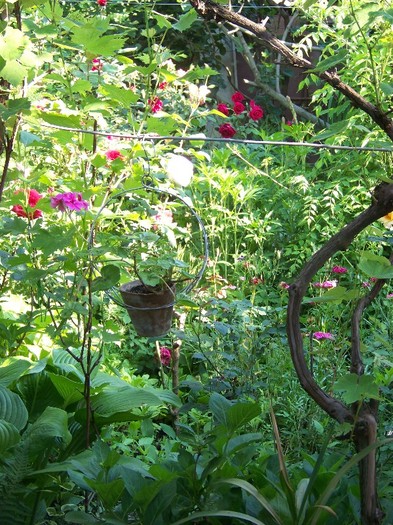 100_5995 - 27 31 Mai 2011
