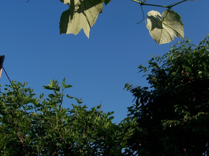 100_5998 - 27 31 Mai 2011