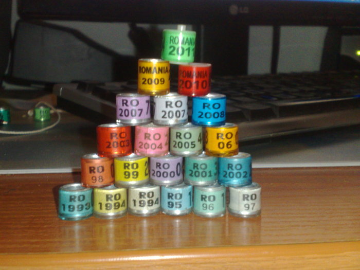 34274021_WOERPOKKO - colectie