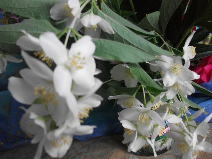 lamaita - MAI 2011