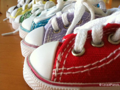 Colorful_Converse_by_Love4Parrots - 0-0Pozikutzze