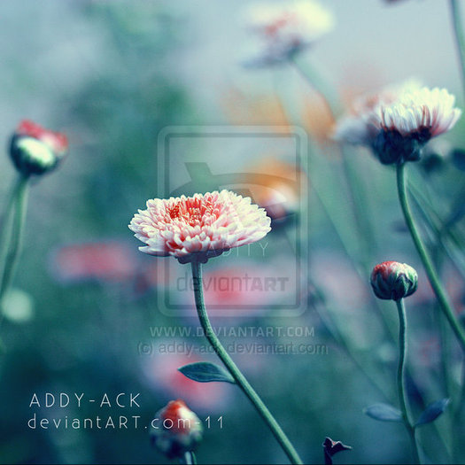 dying_inside____by_addy_ack-d36e5dd