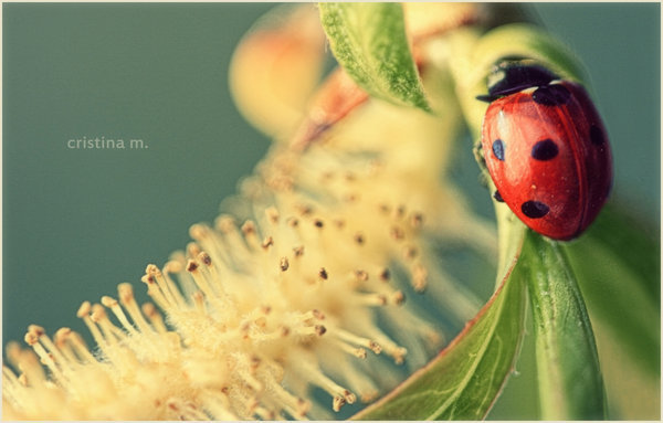 hanging_on_by_bittersweetvenom-d35mdlh