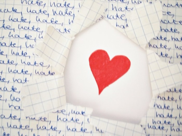 Hate_or_Love_by_timellya1209