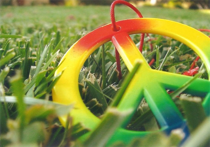 peace_by_the_whackness