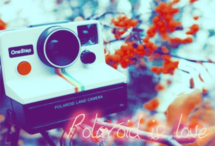 Polaroid_is_love_by_rockatemybrain - 0-0Pozikutzze
