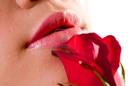 2368270-close-up-of-a-female-lips-and-red-rose - Buze2