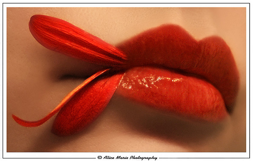 2590585414_dc81208c74