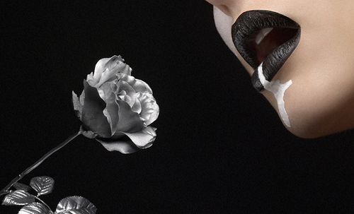 3519823213_400528dc14