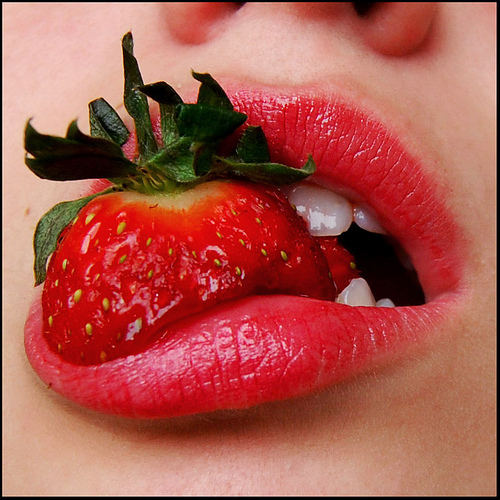 3558420547_619b7ffb75