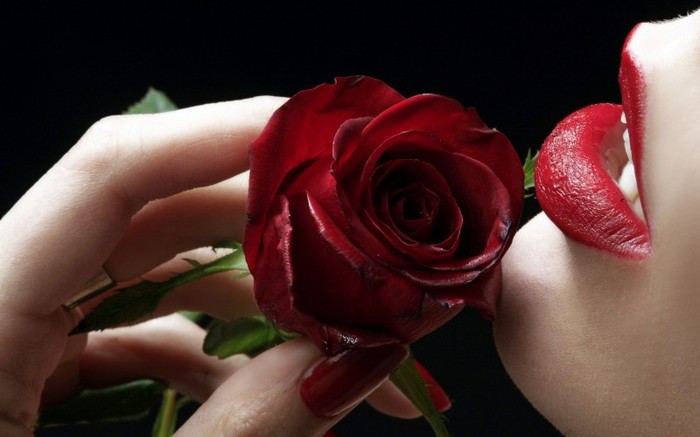 red_rose__red_lips-1440x900