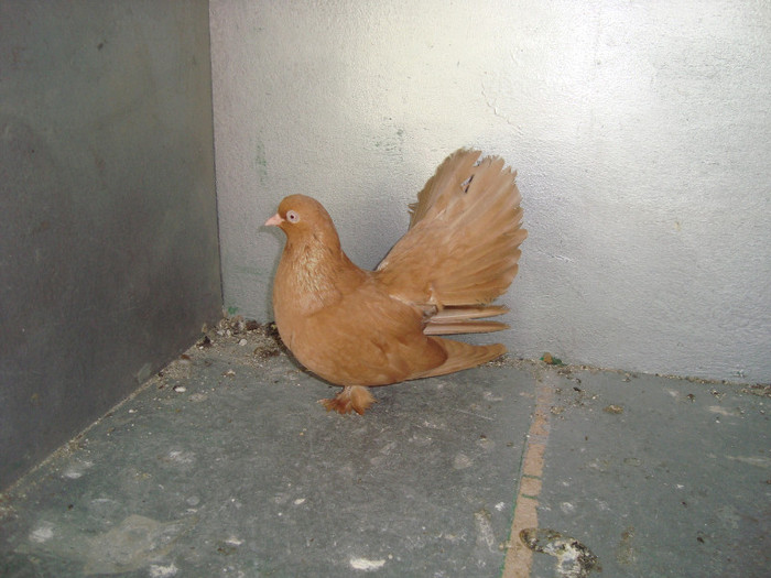 DSC08157