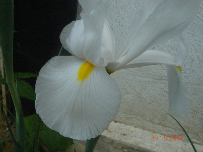 DSC06612