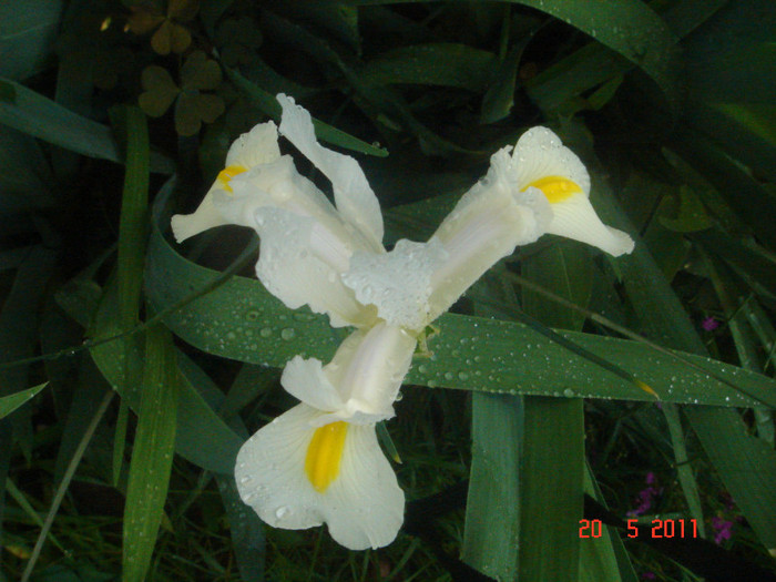DSC06538