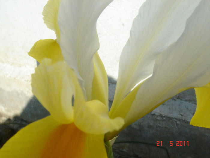 DSC06548