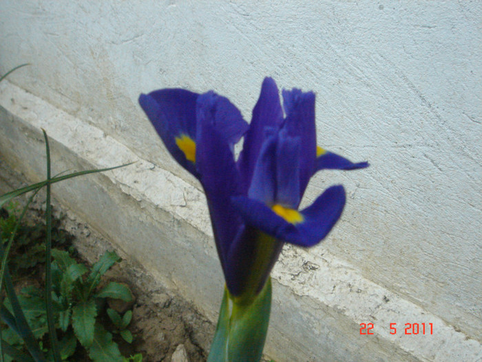 DSC06570