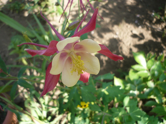 P1070182