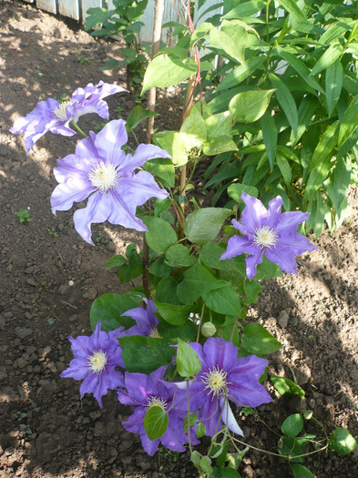P1070190