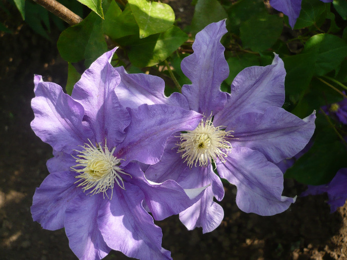 P1070193