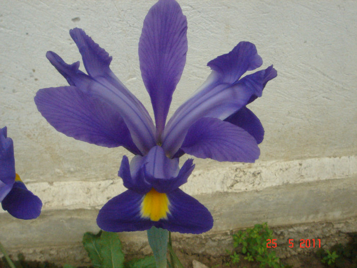 DSC06611