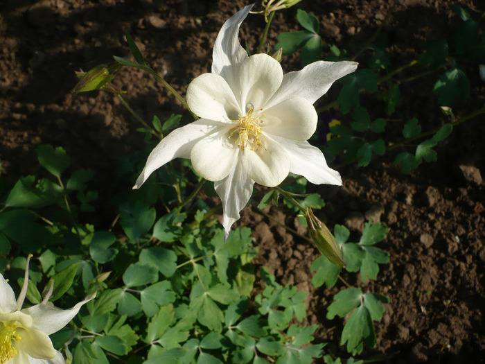 P1070205