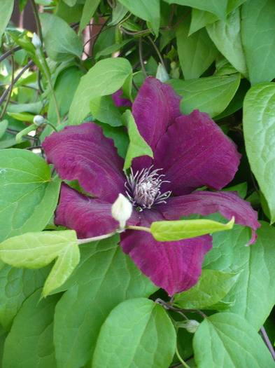 P1070213