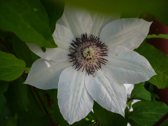 P1070216