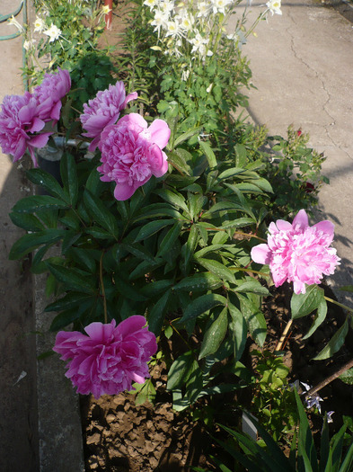 P1070217