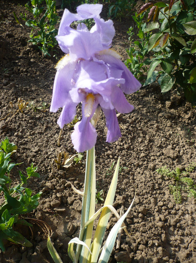 P1070226
