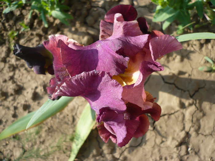P1070228