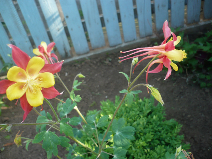 P1070236