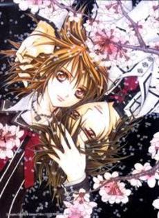 imagesCAAR9JRA - Vampire knight