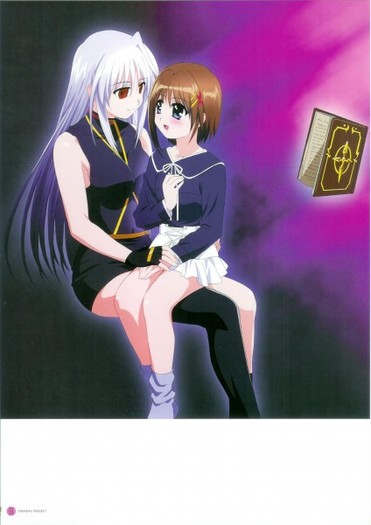 21184 - Magical Girl Lyrical Nanoha