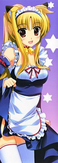242061 - Magical Girl Lyrical Nanoha