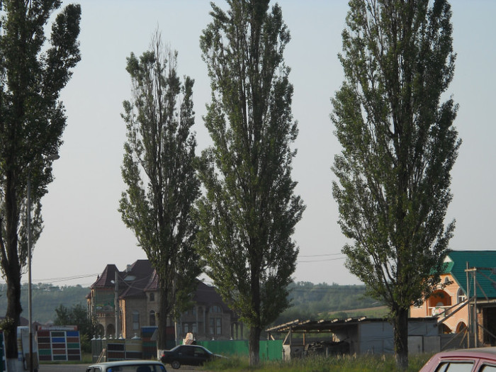 Picture 025 - dincolo de granita