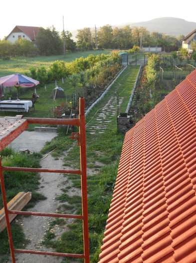 005; din balcon se vede gradina
