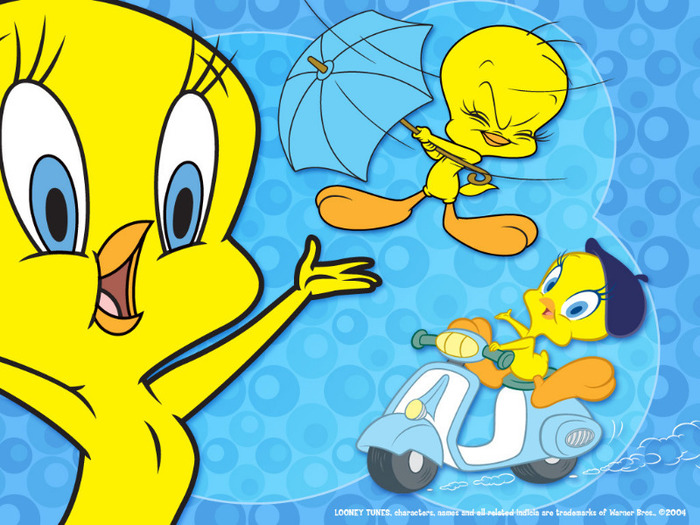 Tweety-Bird-Wallpaper-tweety-bird-2656601-1024-768 - sweety tweety