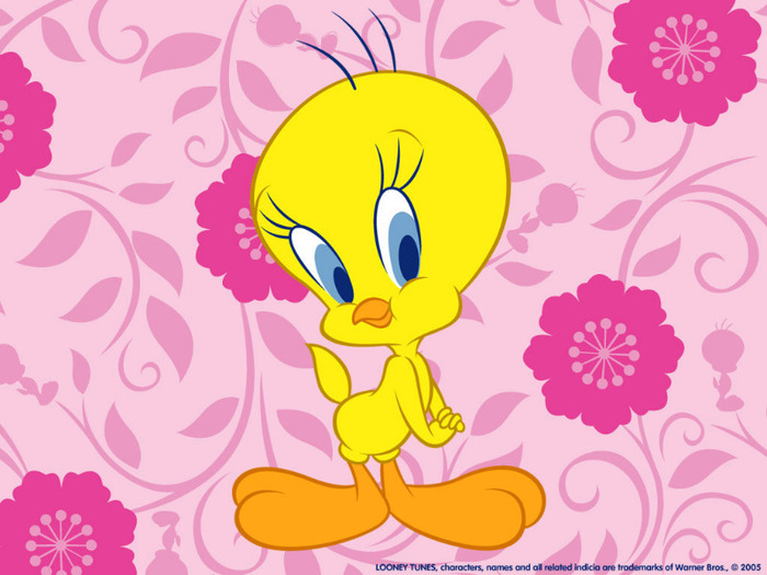 Tweety-Bird-Wallpaper-tweety-bird-2656641-1024-768 - sweety tweety