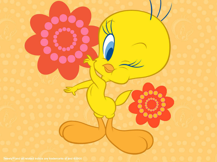 Tweety-BIrd-Wallpaper-tweety-bird-2656468-1024-768 - sweety tweety