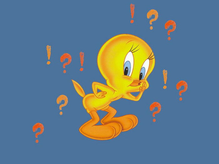 Tweety-Bird-Wallpaper-tweety-bird-5701680-1024-768