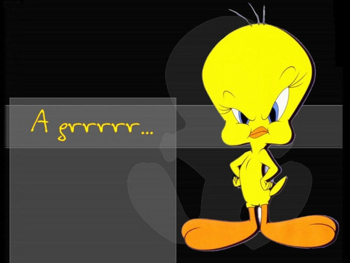 Angry-Tweety-Bird-Wallpaper-tweety-bird-5583576-1024-768 - sweety tweety