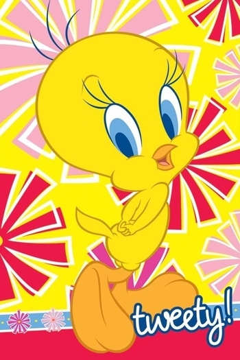 Tweety-Bird-tweety-bird-5951989-470-705