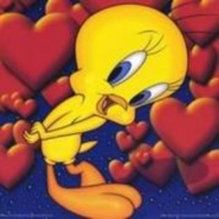 36554797_PEAROTJFR - sweety tweety