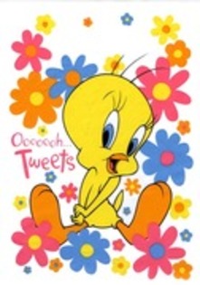 36554804_LZXORQTXD - sweety tweety