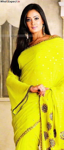 shweta_tiwari78_20090406_1564233282 - sweta tiwari