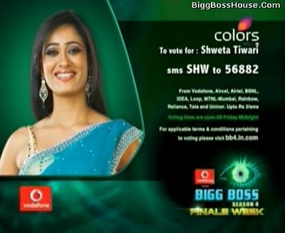 shweta-tiwari (1) - sweta tiwari