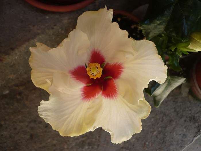 P1070299