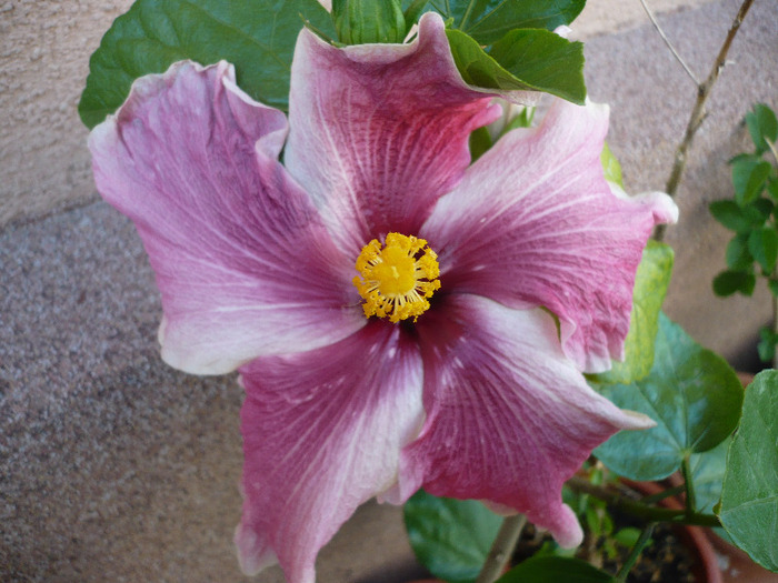 P1070302