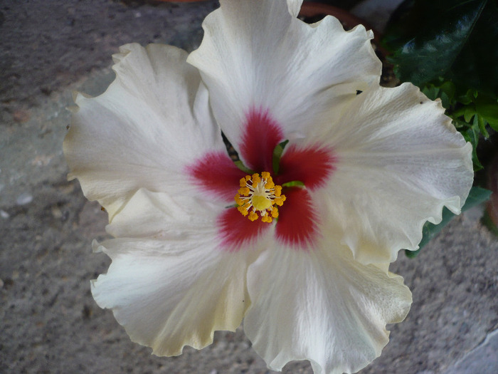 P1070305